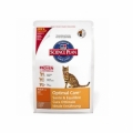 Hills Feline Adult Optimal Care with Lamb 2кг / Хиллс для кошек оптимальный уход с ягненком 2 кг Hills Feline Adult Optimal Care with Lamb 2кг / Хиллс для кошек оптимальный уход с ягненком 2 кг