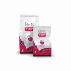Brit Care Indoor Chicken & Rice 2кг / Брит для кошек живущих в помещении 2кг Brit Care Indoor Chicken & Rice 2кг / Брит для кошек живущих в помещении 2кг