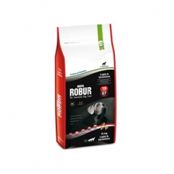 Bozita Robur Light & Sensitive 19/07 12,5 кг / Бозита Робур 19/07 для малоактивных и пожилых собак 12,5 кг Bozita Robur Light & Sensitive 19/07 12,5 кг / Бозита Робур 19/07 для малоактивных и пожилых собак 12,5 кг