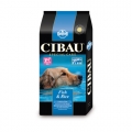 Cibau Sensitive Fish Medium & Maxi 12кг / Чибао Эдалт для собак средних и крупных пород с Рыбой 12 кг